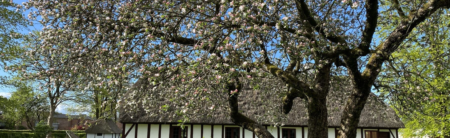 Frilandsmuseet Herning