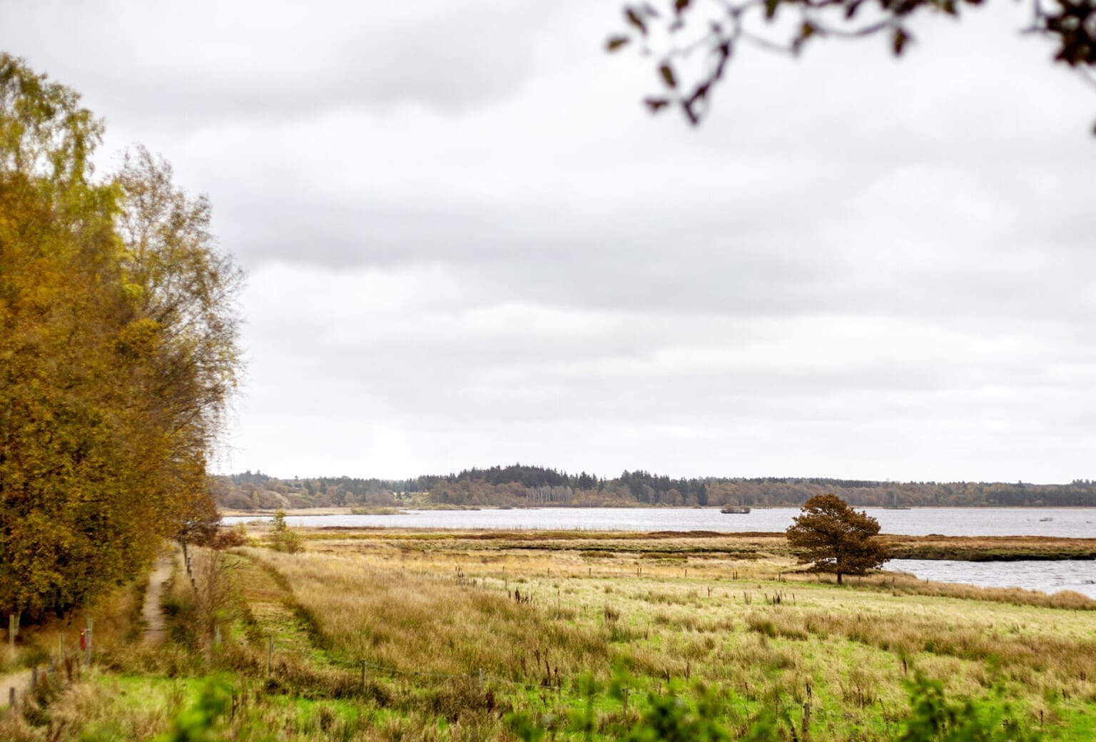 Guidet tur i naturen ved Klosterlund Museum ved Bølling Sø