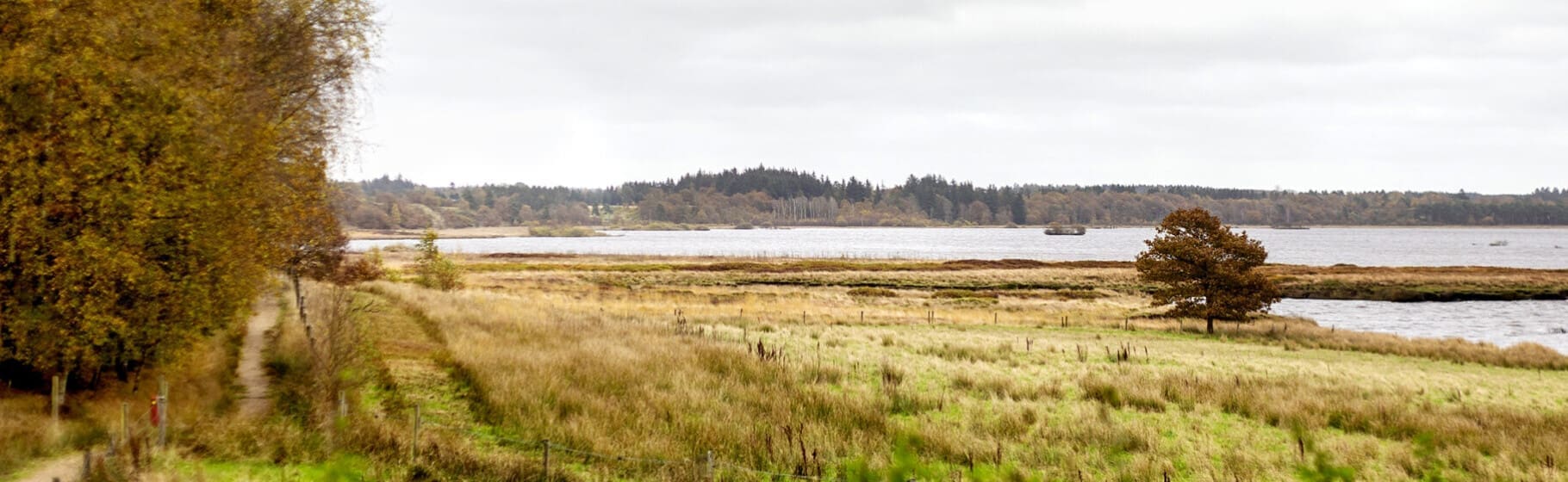 Guidet tur i naturen ved Klosterlund Museum ved Bølling Sø