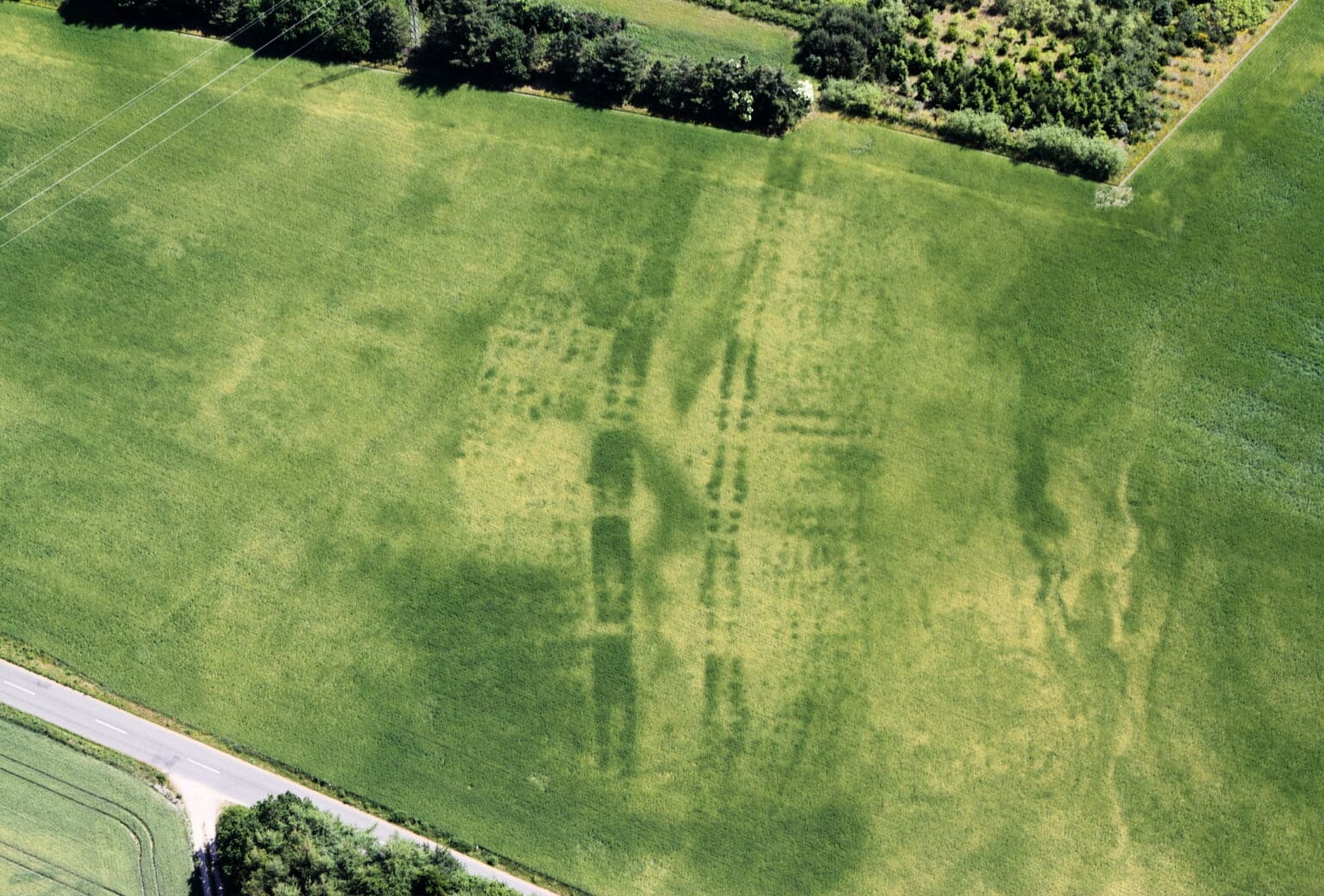 Luftfoto af Ørregård af Lis Helles Olesen