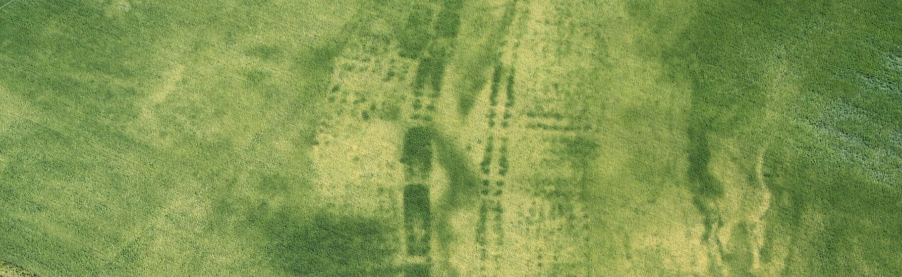 Luftfoto af Ørregård af Lis Helles Olesen