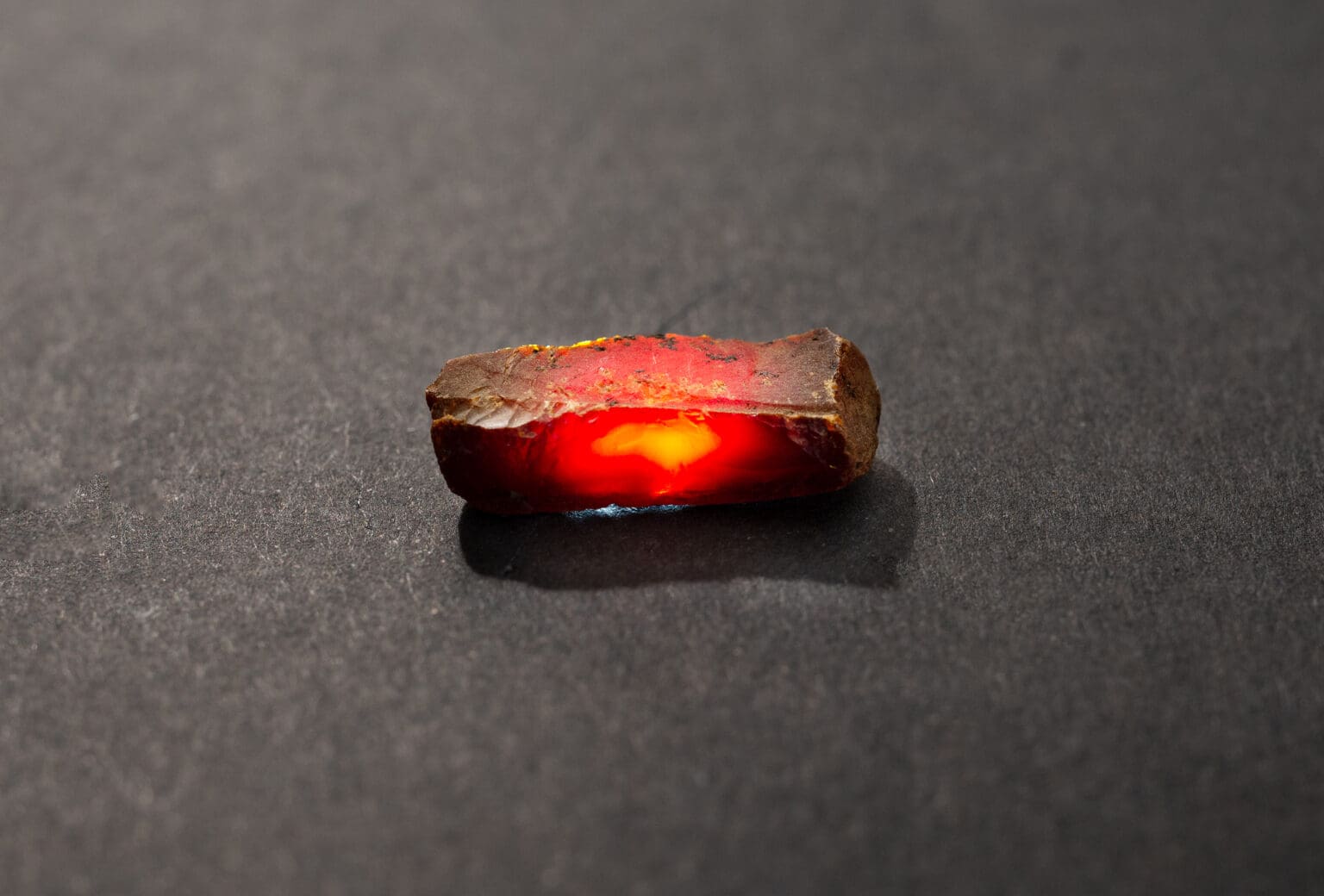 Rav fra Hedegård udgravningen