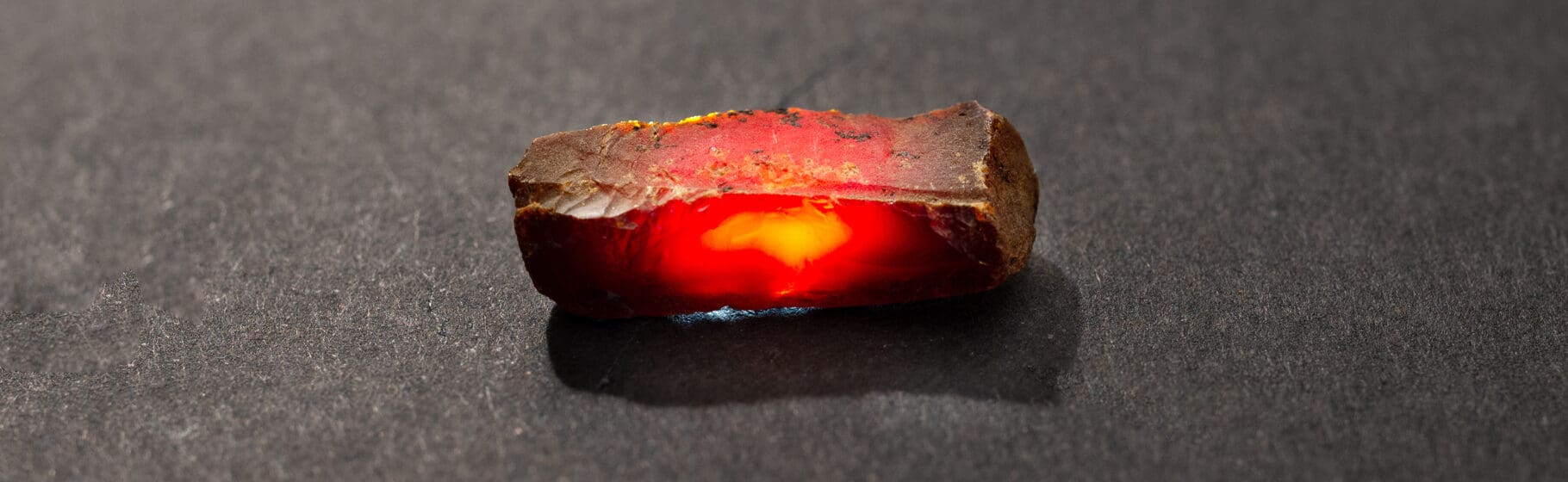 Rav fra Hedegård udgravningen