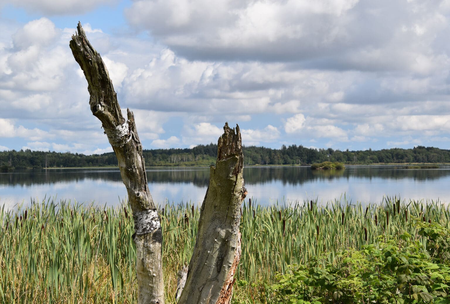 Indvielse af hærvejsperlen ved Bølling Sø og Klosterlund Museum