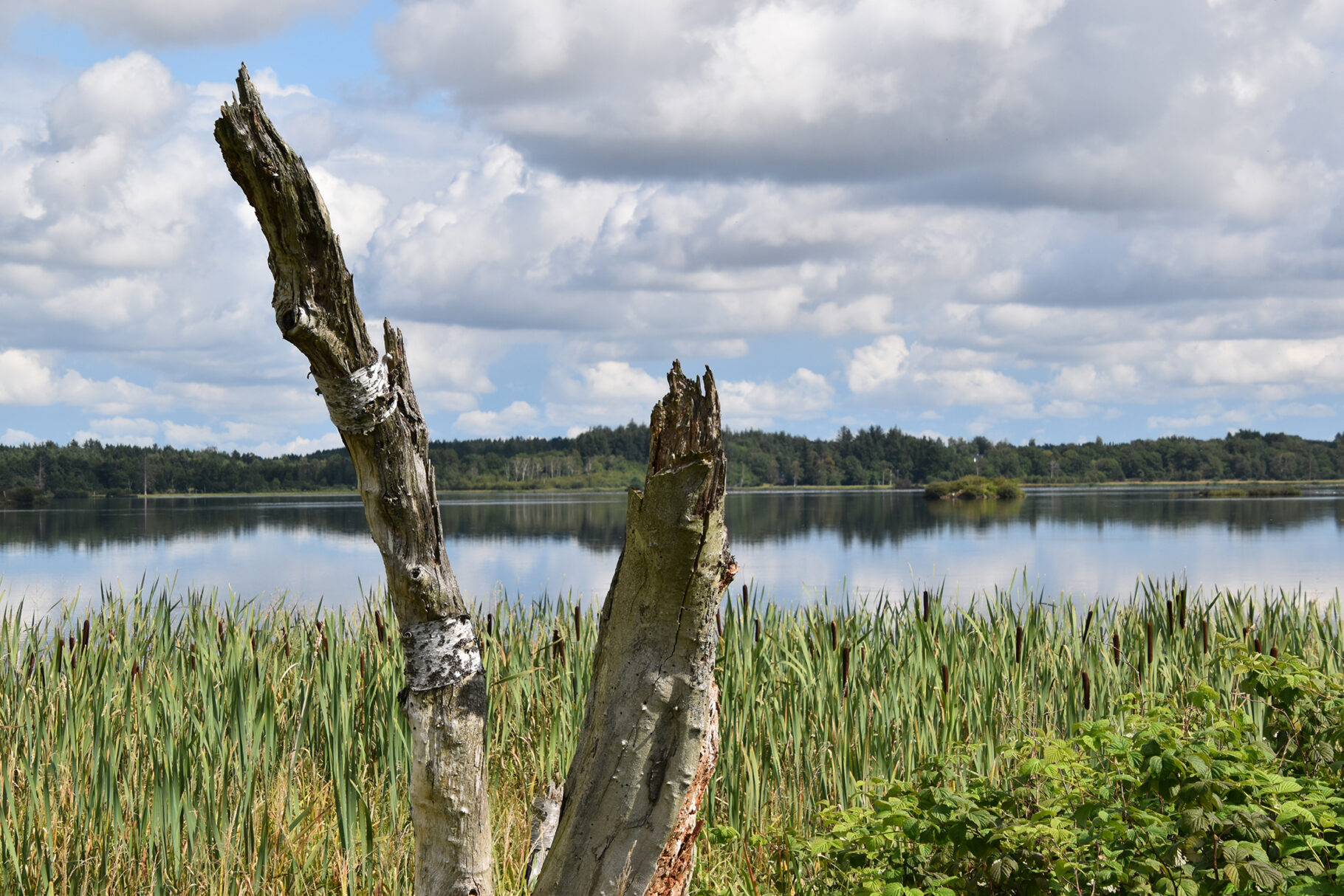 Indvielse af hærvejsperlen ved Bølling Sø og Klosterlund Museum